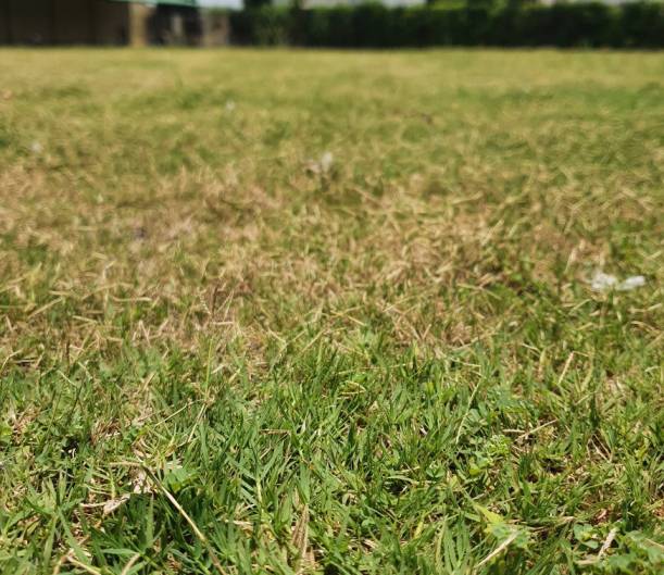 The SportsBox | Udaipur | TurfBooking